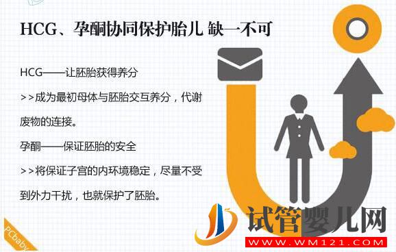 HCG對準媽媽有哪些作用？(圖4)