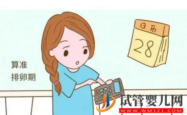 阿圖什試管的促排方案有哪些？(圖2)