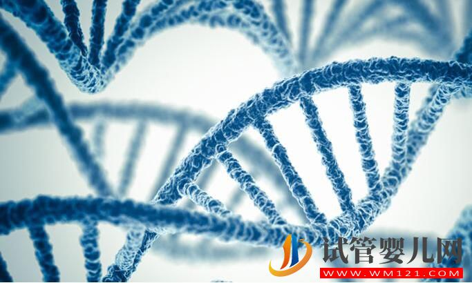 和田試管嬰兒基因篩查技術有什么作用？(圖3)