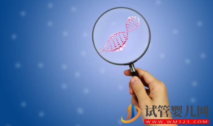 和田試管嬰兒基因篩查技術有什么作用？(圖2)