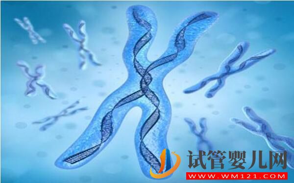 染色體異常做試管嬰兒搞不定？(圖1)