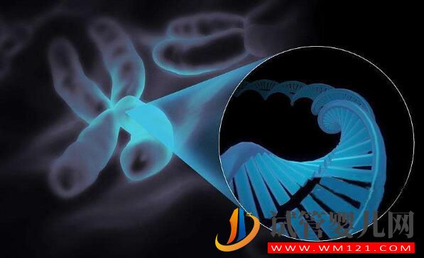 染色體異常做試管嬰兒搞不定？(圖2)