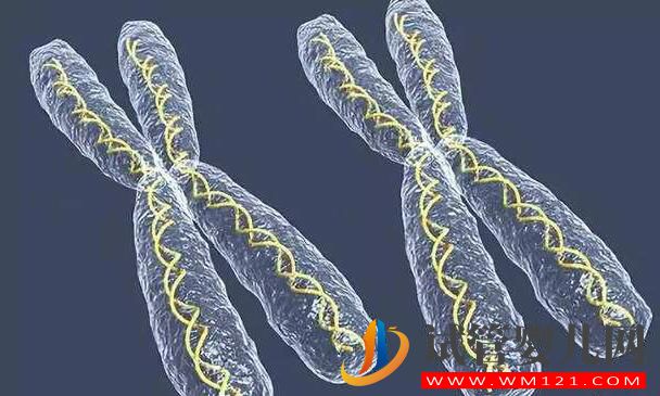 染色體異常做試管嬰兒搞不定？(圖3)