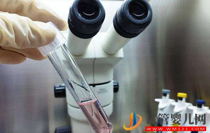 試管嬰兒不能生孩子這個說法是真還是假？(圖1)