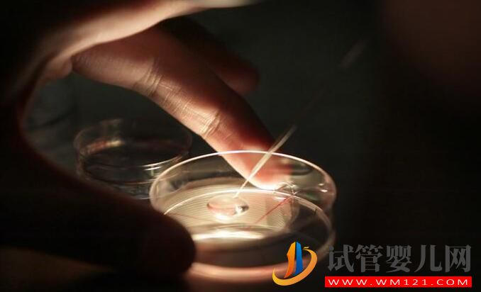 試管嬰兒不能生孩子這個說法是真還是假？(圖3)