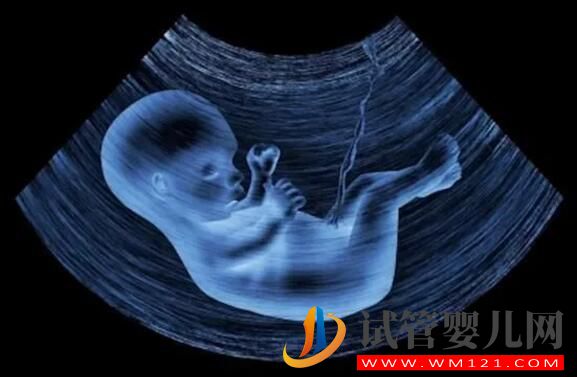 試管嬰兒月經期要做b超嗎？(圖4)