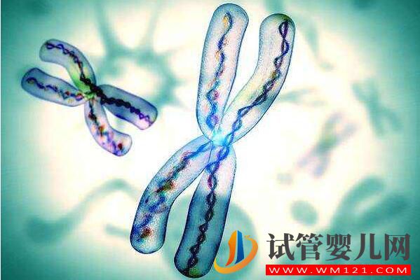 高齡婦女為什么要選擇試管嬰兒？(圖1)