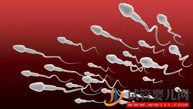 試管嬰兒胚胎選擇看“顏值”，長得好看才能被移植！(圖2)