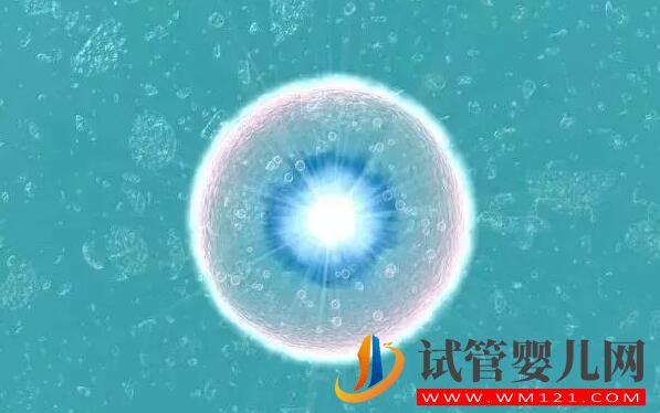 試管嬰兒取卵時空卵泡B超能看出來嗎？(圖1)