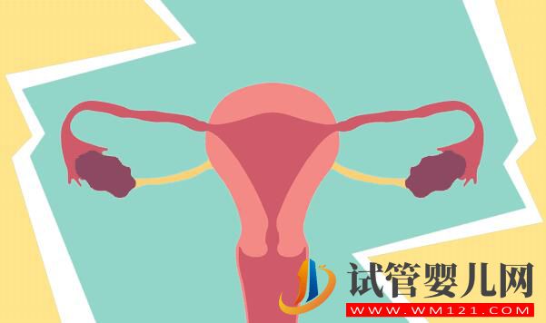 做試管嬰兒周期取多少卵子比較合適(圖1)