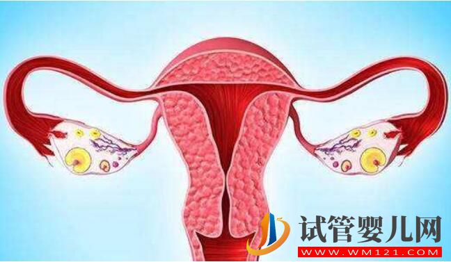 做試管嬰兒周期取多少卵子比較合適(圖2)