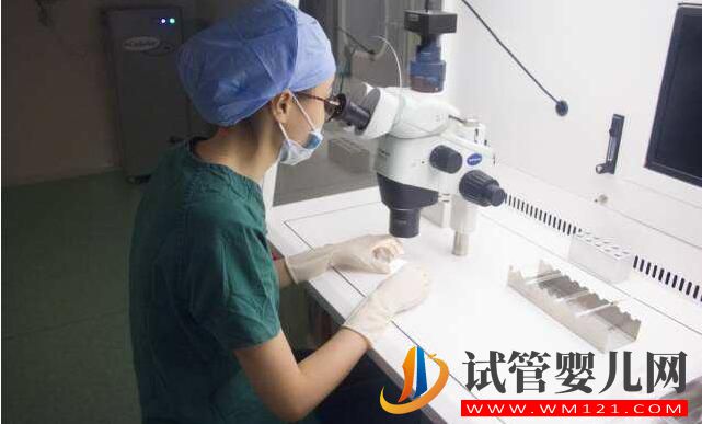 做試管嬰兒周期取多少卵子比較合適(圖3)