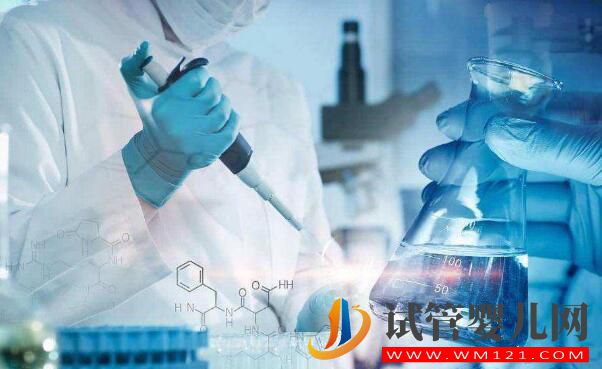 宮內粘連會影響到試管嬰兒嗎？(圖3)