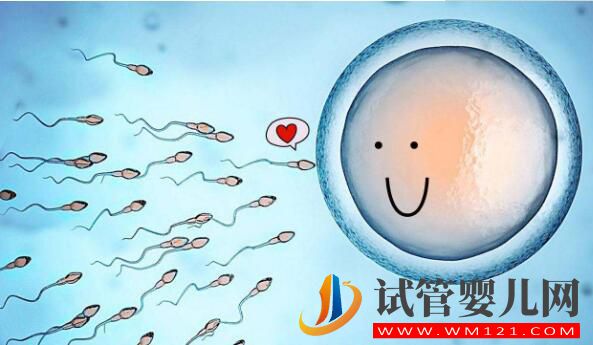 試管中精卵不結合該怎么解決？精卵結合后為什么不著床？(圖2)