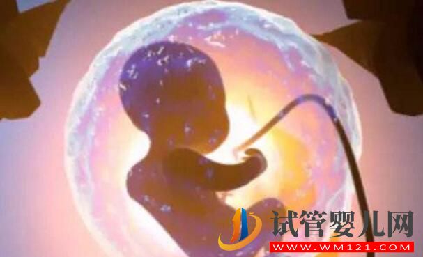 試管胚胎移植前哪些準備應該做好？(圖2)