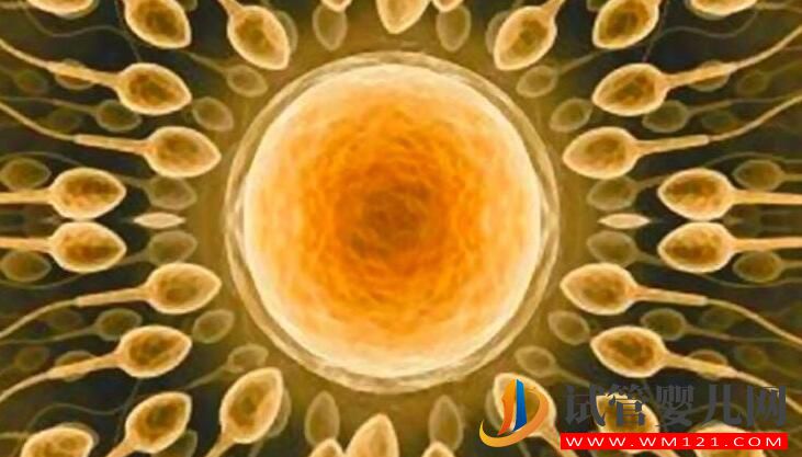 做試管嬰兒后身體出現這些癥狀正常嗎？(圖4)