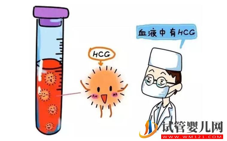 試管嬰兒移植后為什么會出血?胚胎移植后出血的原因有哪些(圖2) 試管嬰兒移植后為什么會出血?胚胎移植后出血的原因有哪些(圖2)