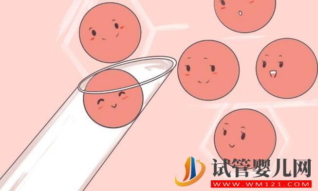 試管嬰兒微痛取卵是如何做到的?需注意什么?(圖1) 試管嬰兒微痛取卵是如何做到的?需注意什么?(圖1)