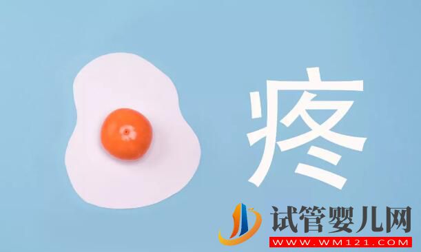 試管嬰兒微痛取卵是如何做到的?需注意什么?(圖5) 試管嬰兒微痛取卵是如何做到的?需注意什么?(圖5)