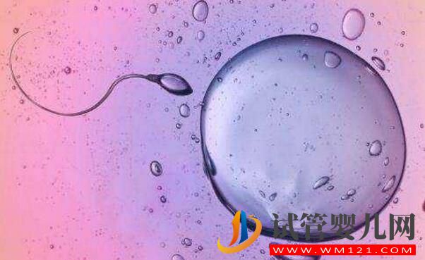 胚胎碎片率的變化對試管嬰兒意味著什么(圖1)