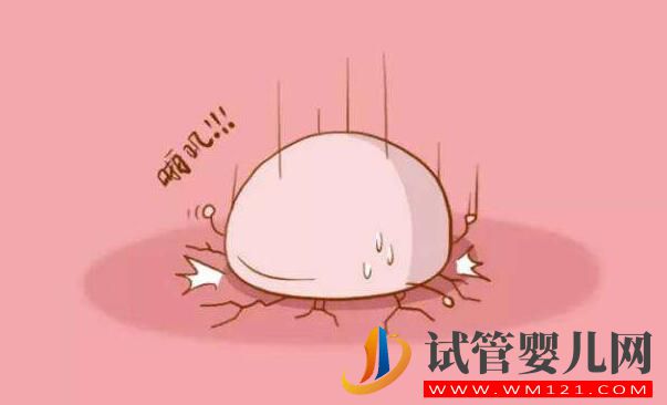 試管嬰兒囊胚移植幾天著床？胚胎寶寶著床的條件有哪些(圖3)