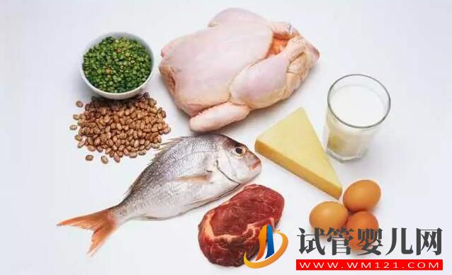 做試管嬰兒為什么補充蛋白質很重要？(圖1)