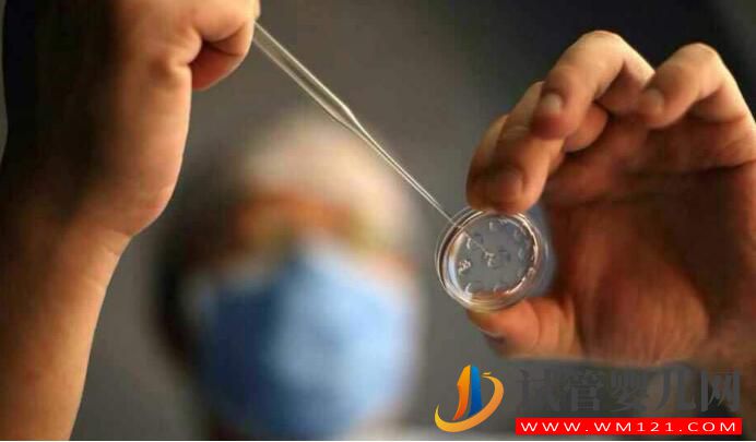 試管嬰兒應(yīng)不應(yīng)該做?什么情況下去做?要如何選擇(圖1) 試管嬰兒應(yīng)不應(yīng)該做?什么情況下去做?要如何選擇(圖1)