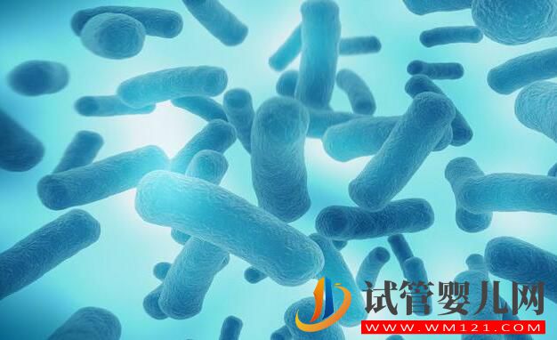 試管嬰兒應(yīng)不應(yīng)該做?什么情況下去做?要如何選擇(圖2) 試管嬰兒應(yīng)不應(yīng)該做?什么情況下去做?要如何選擇(圖2)