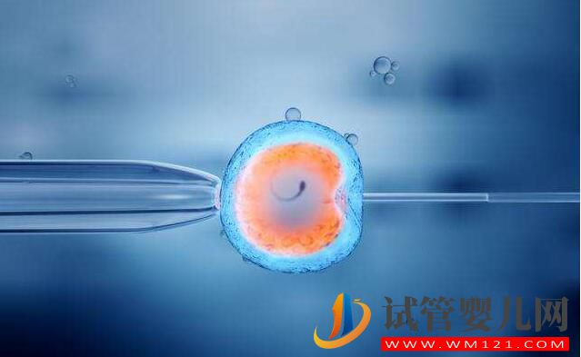 試管嬰兒應(yīng)不應(yīng)該做?什么情況下去做?要如何選擇(圖3) 試管嬰兒應(yīng)不應(yīng)該做?什么情況下去做?要如何選擇(圖3)