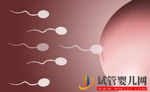 試管嬰兒應(yīng)不應(yīng)該做?什么情況下去做?要如何選擇(圖5) 試管嬰兒應(yīng)不應(yīng)該做?什么情況下去做?要如何選擇(圖5)
