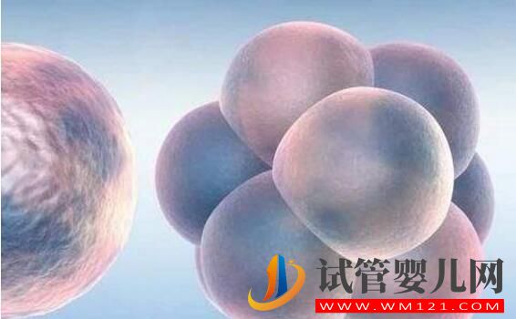俄羅斯試管嬰兒攻略 看看有哪些你不知道的(圖3) 俄羅斯試管嬰兒攻略 看看有哪些你不知道的(圖3)