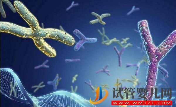 泌乳素高會影響做試管嬰兒嗎？如何比較好？(圖2)