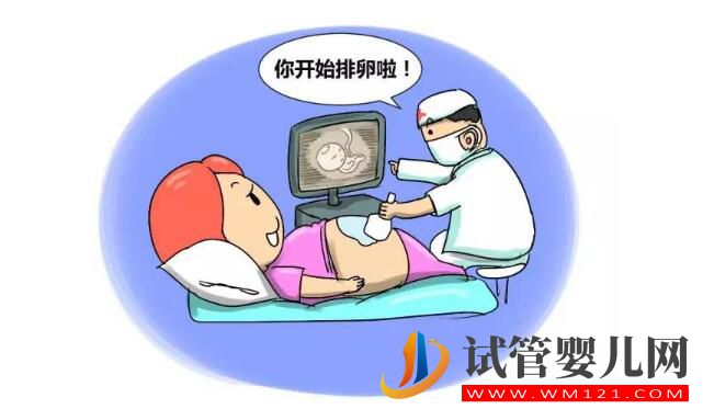 試管嬰兒有多少個方案？如何選擇促排卵方案？(圖3)