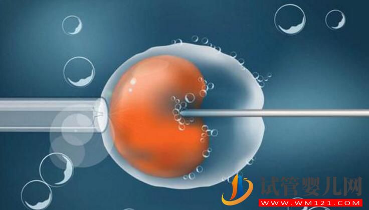 試管嬰兒哪些情況做不了不適合做，哪些情況要做試管嬰兒？(圖1)