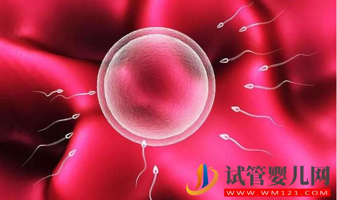 試管嬰兒怎么做容易著床？做好這些容易著床 你做到了嗎？(圖1)