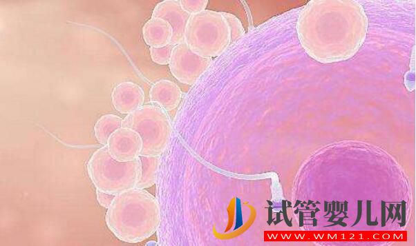 試管嬰兒怎么做容易著床？做好這些容易著床 你做到了嗎？(圖2)
