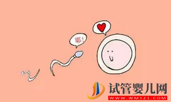 高齡生育你需要知道關于影響卵泡質量的因素(圖2)