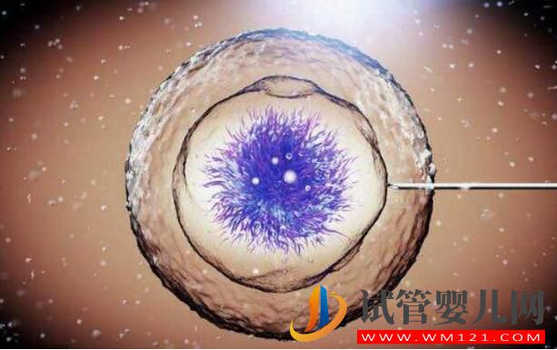 試管嬰兒做一代好還是二代好？(圖3)