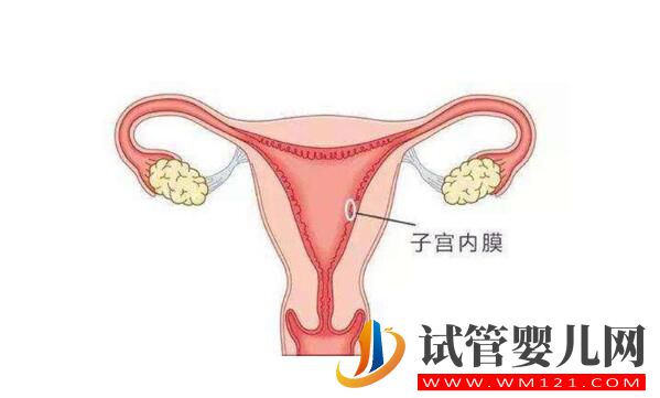 試管備孕中子宮內膜過薄應該要怎么辦(圖2)