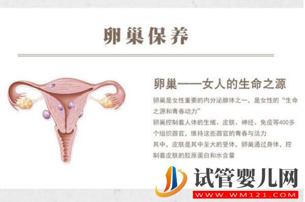 高齡夫妻做試管如何備孕提高成功率(圖3)