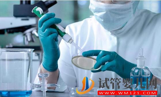 試管嬰兒手術流程到底是怎么樣的？(圖3)