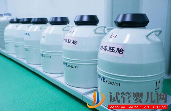 試管嬰兒胚胎冷藏一年需要多少錢?(圖1)