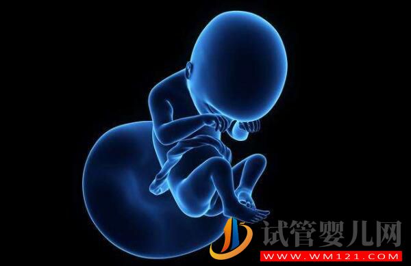 影響試管成功率的事項(xiàng)如何避免？如何自測試管成功率(圖1)