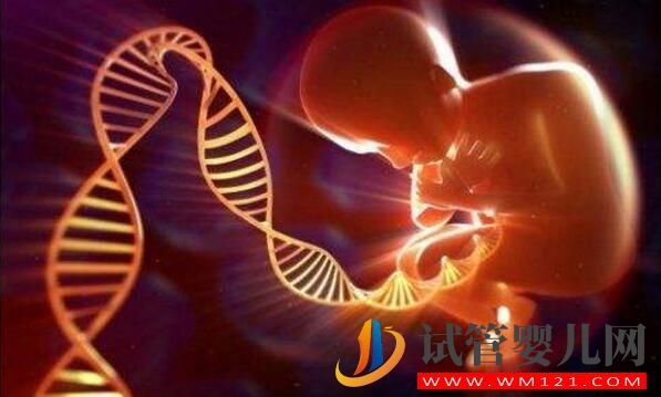 影響試管成功率的事項(xiàng)如何避免？如何自測試管成功率(圖2)