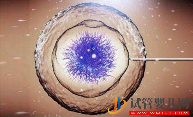 影響試管成功率的事項(xiàng)如何避免？如何自測試管成功率(圖3)