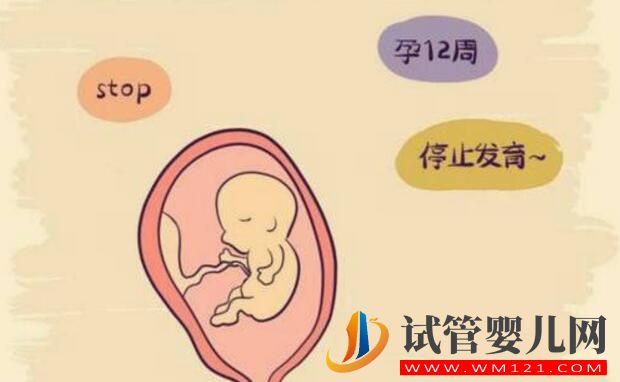 國內試管嬰兒全過程和試管注意事項介紹(圖3)