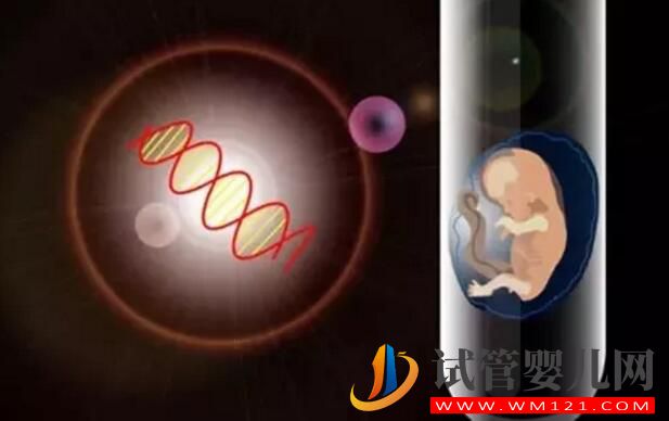 高齡備孕試管嬰兒如何提高成功率 需要做哪些調(diào)理工作(圖4)