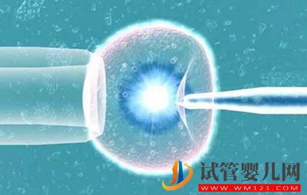 做試管嬰兒前后注意事項有哪些 準(zhǔn)備工作要怎么做(圖1)