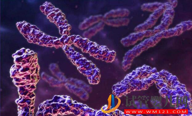 卵巢早衰去泰國(guó)做試管嬰兒的成功率如何?(圖3) 卵巢早衰去泰國(guó)做試管嬰兒的成功率如何?(圖3)