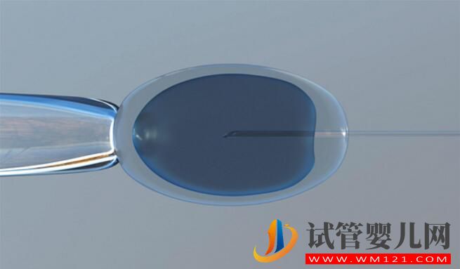 第三代試管嬰兒的適應人群和優勢，你對它的了解有多少呢？(圖2)